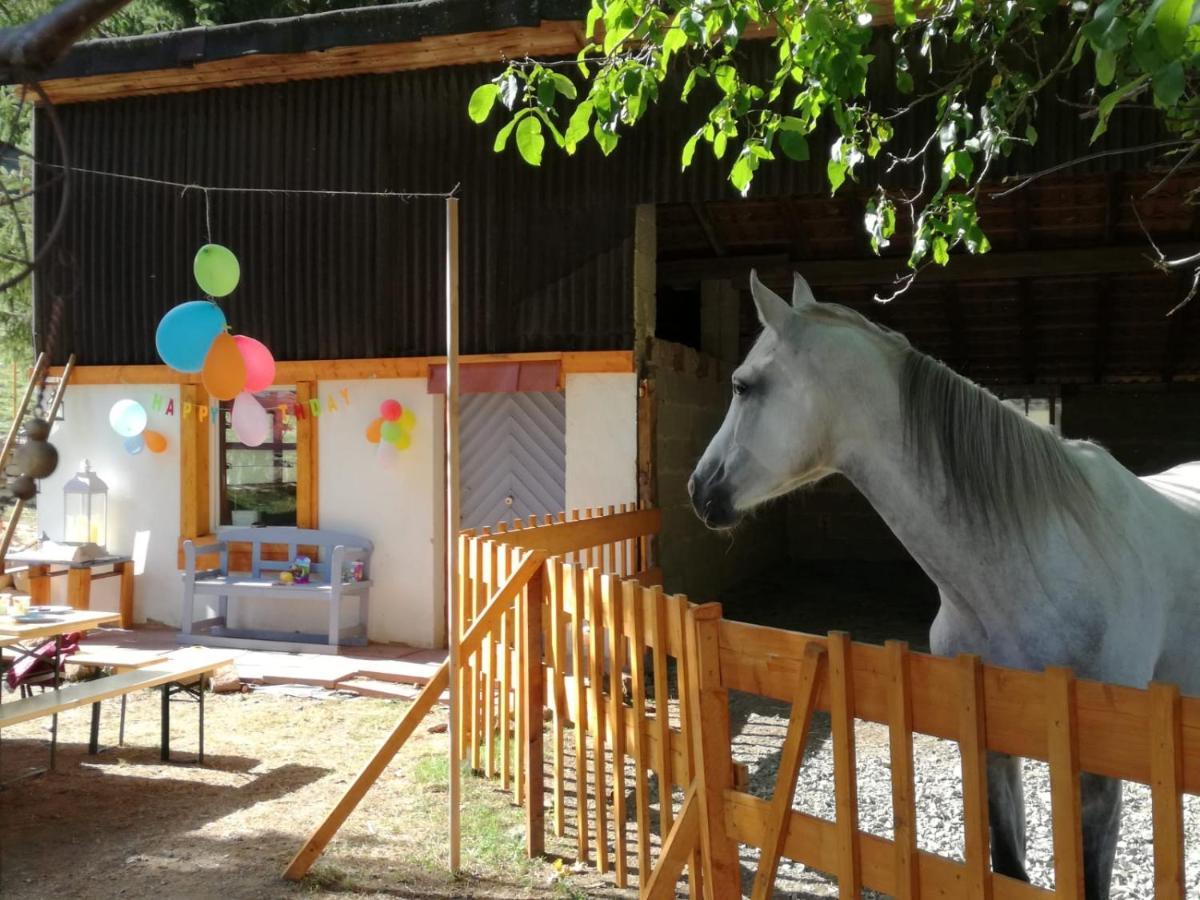 Zuruck Zur Natur - Urlaub Im Zirkuswagen, Sommeratelier Oder Schindelwagen Adenbach Dış mekan fotoğraf