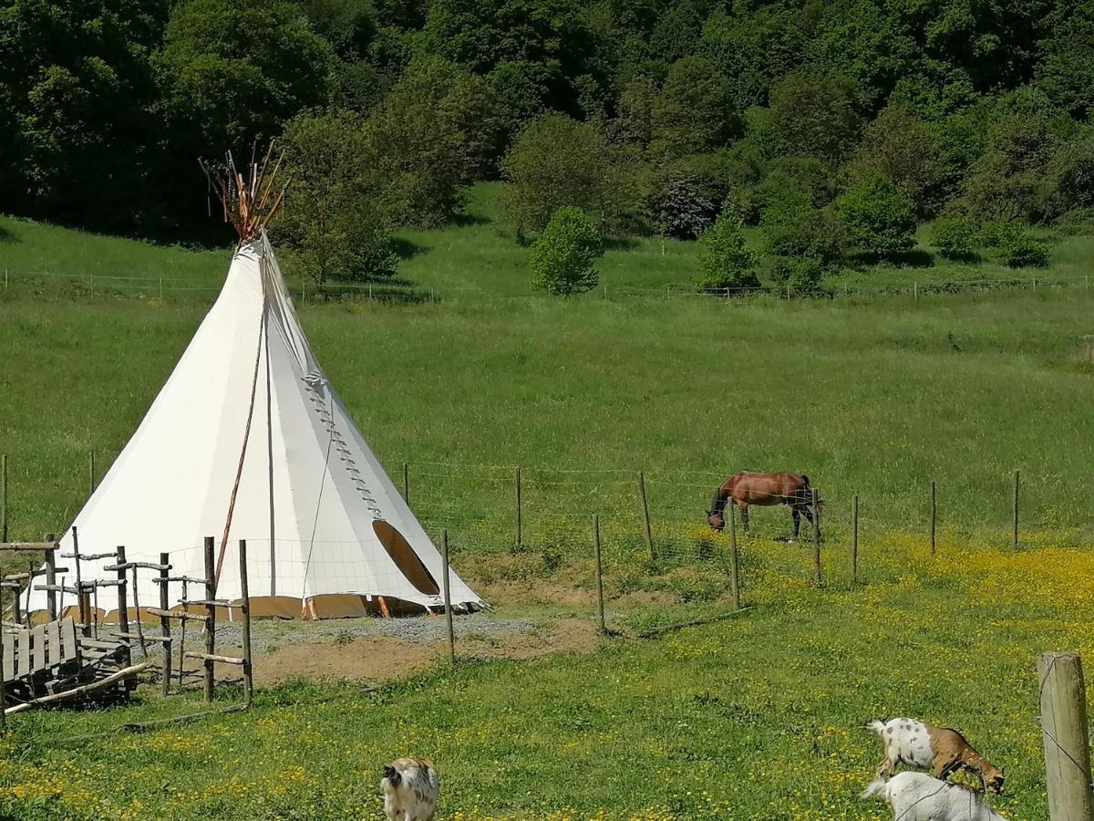 Zuruck Zur Natur - Urlaub Im Zirkuswagen, Sommeratelier Oder Schindelwagen Adenbach Dış mekan fotoğraf