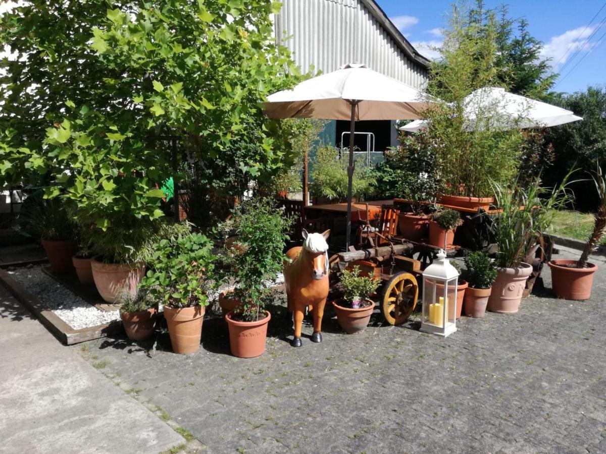 Zuruck Zur Natur - Urlaub Im Zirkuswagen, Sommeratelier Oder Schindelwagen Adenbach Dış mekan fotoğraf